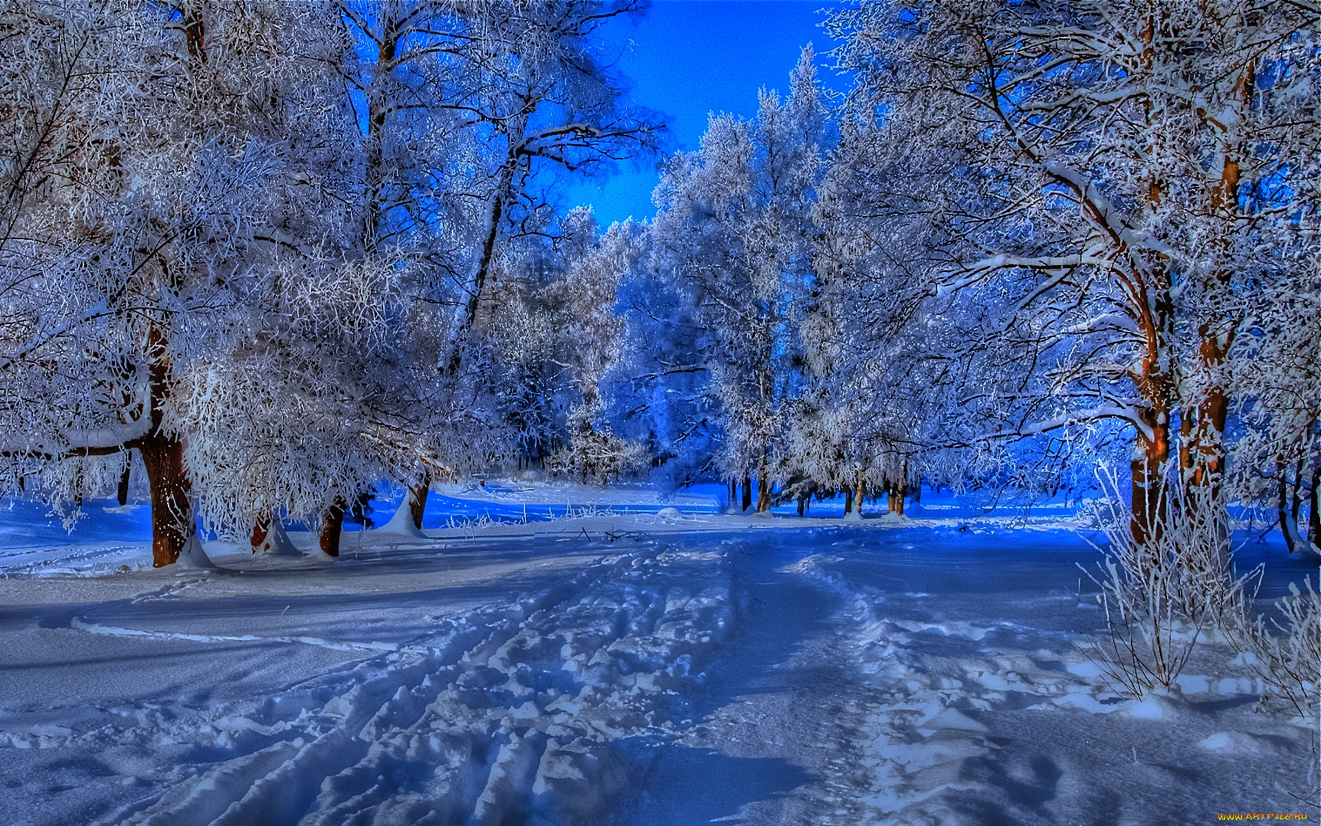 snowy, path, in, winter, , , , , 